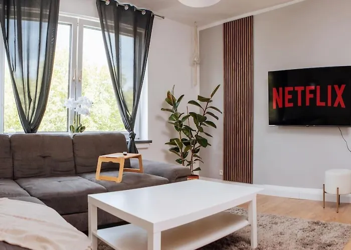 Sunny & Cozy - Netflix - Wifi - City - 4 Person